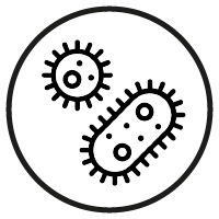 RJ Bodywear Menstruatie Ondergoed Antibacterieel